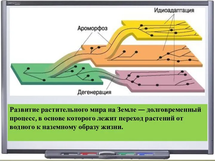 Развитие растительного мира на Земле — долговременный процесс, в основе которого