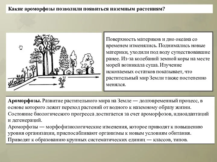 Какие ароморфозы позволили появиться наземным растениям? Поверхность материков и дно океана