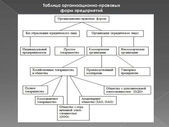 Таблица организационно-правовых форм предприятий