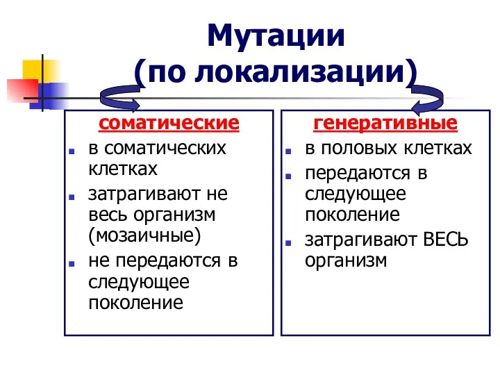 Мутации (по локализации) соматические в соматических клетках затрагивают не весь организм