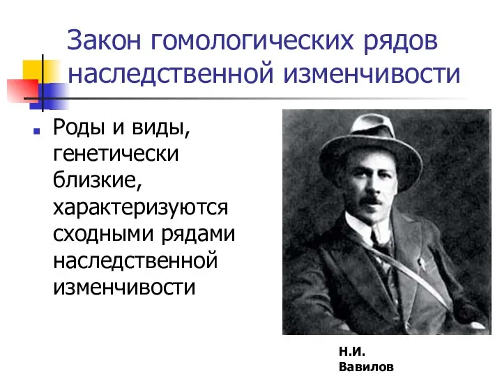 Закон гомологических рядов наследственной изменчивости Роды и виды, генетически близкие, характеризуются