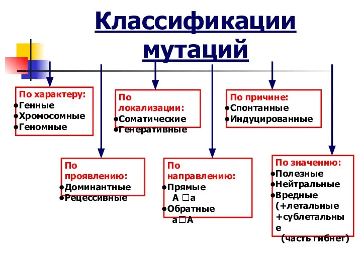 Классификации мутаций По характеру: Генные Хромосомные Геномные По локализации: Соматические Генеративные