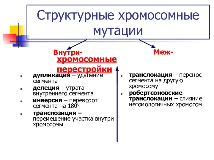 Структурные хромосомные мутации Внутри- дупликация – удвоение сегмента делеция – утрата