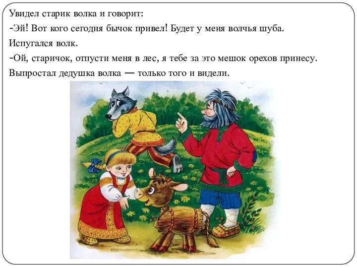 Увидел старик волка и говорит: -Эй! Вот кого сегодня бычок привел!