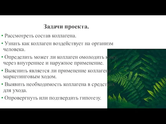 Задачи проекта. Рассмотреть состав коллагена. Узнать как коллаген воздействует на организм