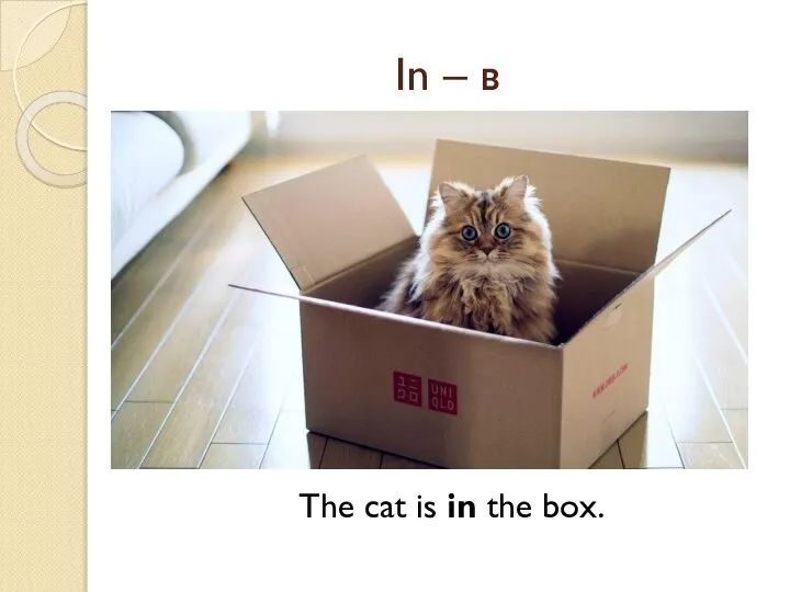 In – в The cat is in the box.