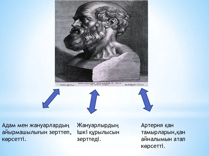 Адам мен жануарлардың айырмашылығын зерттеп, көрсетті. Жануарлырдың ішкі құрылысын зерттеді. Артерия қан тамырларын,қан айналымын атап көрсетті.