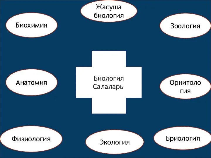 Биология Салалары Биохимия Анатомия Физиология Зоология Орнитология Бриология Жасуша биология Экология