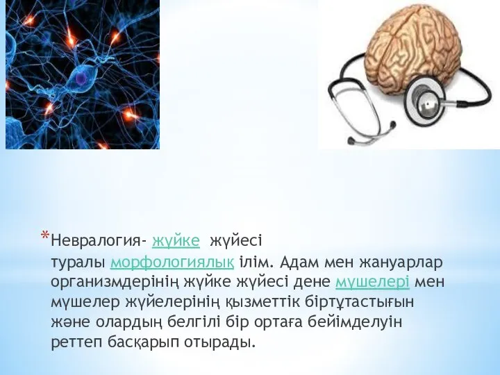 Невралогия- жүйке жүйесі туралы морфологиялық ілім. Адам мен жануарлар организмдерінің жүйке