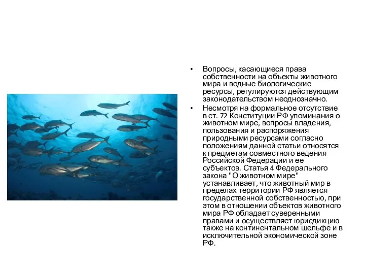 Вопросы, касающиеся права собственности на объекты животного мира и водные биологические