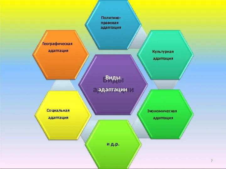Виды адаптации Политико- правовая адаптация Культурная адаптация Экономическая адаптация и д.р. Социальная адаптация Географическая адаптация 7