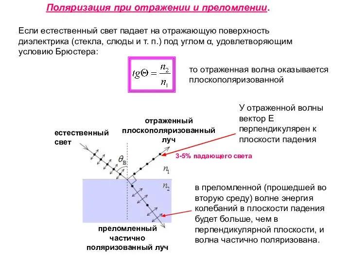 Поляризация при отражении и преломлении. Если естественный свет падает на отражающую