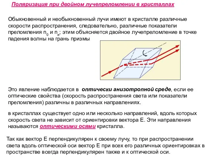 Поляризация при двойном лучепреломлении в кристаллах Обыкновенный и необыкновенный лучи имеют