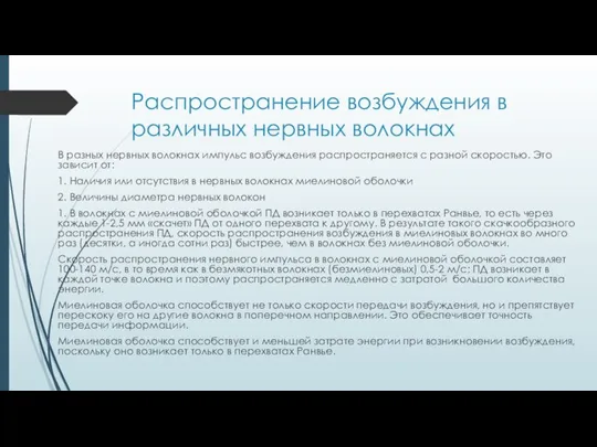 Распространение возбуждения в различных нервных волокнах В разных нервных волокнах импульс