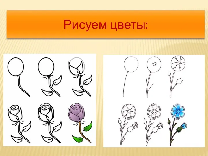 Рисуем цветы: