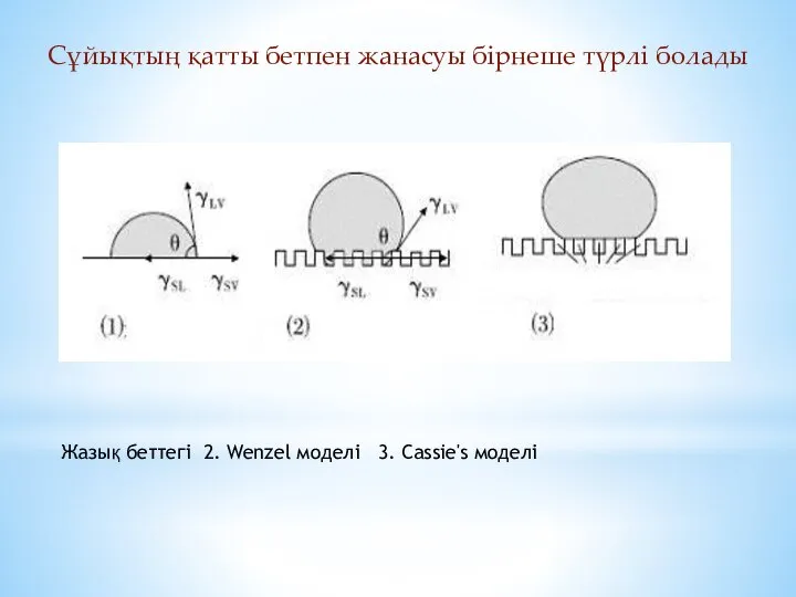 Сұйықтың қатты бетпен жанасуы бірнеше түрлі болады Жазық беттегі 2. Wenzel моделі 3. Cassie's моделі