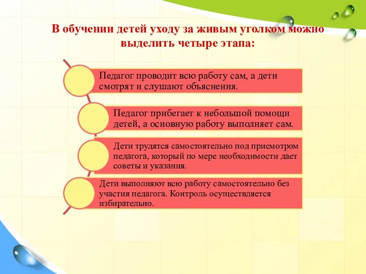 В обучении детей уходу за живым уголком можно выделить четыре этапа: