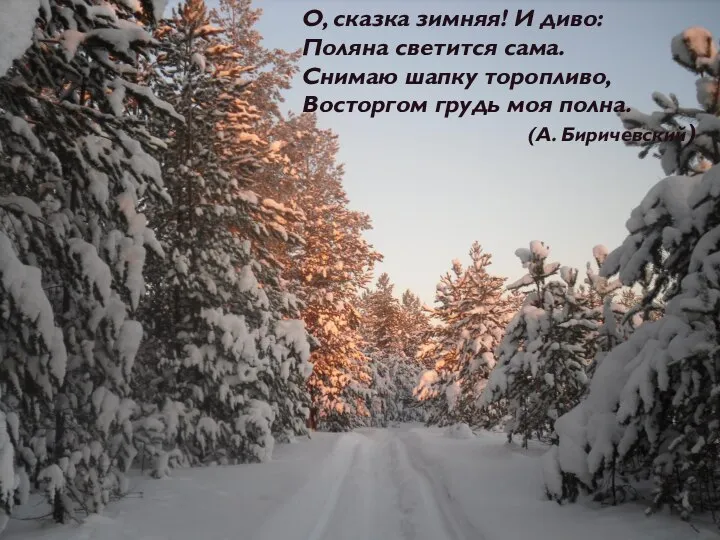 О, сказка зимняя! И диво: Поляна светится сама. Снимаю шапку торопливо,