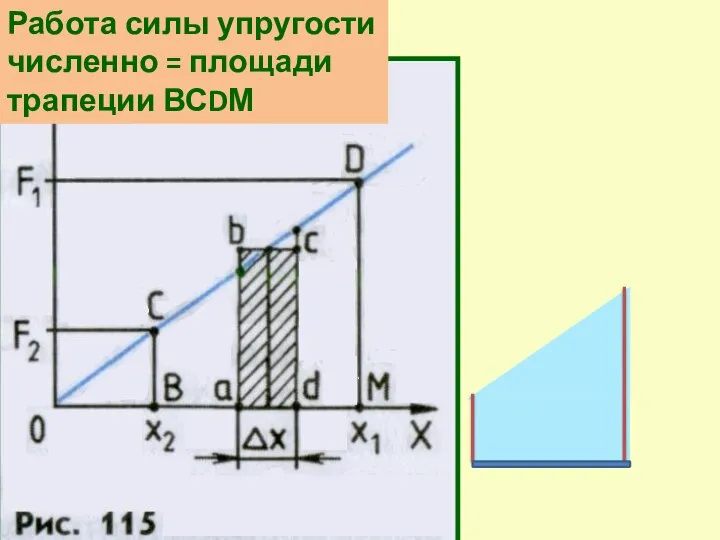 Работа силы упругости численно = площади трапеции ВСDМ