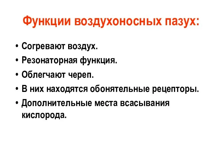 Функции воздухоносных пазух: Согревают воздух. Резонаторная функция. Облегчают череп. В них