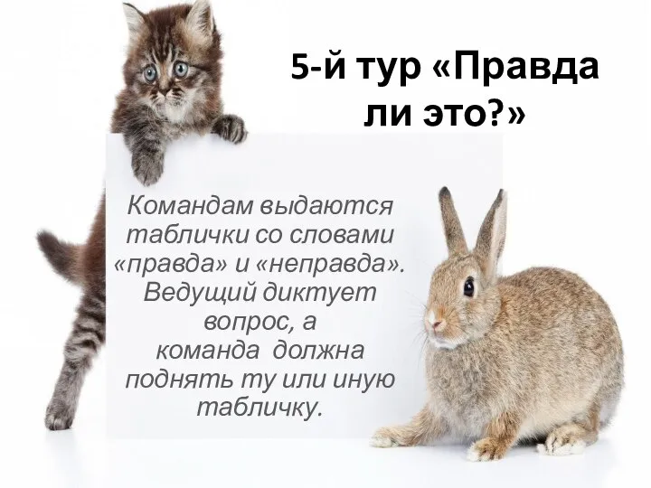 5-й тур «Правда ли это?» Командам выдаются таблички со словами «правда»