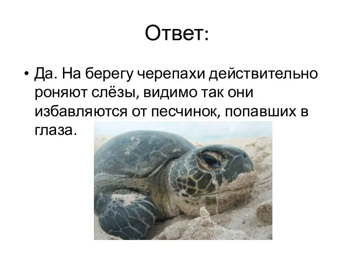 Ответ: Да. На берегу черепахи действительно роняют слёзы, видимо так они