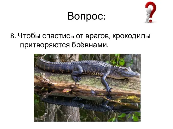 Вопрос: 8. Чтобы спастись от врагов, крокодилы притворяются брёвнами.