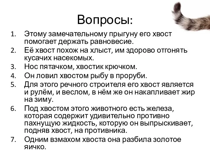 Вопросы: Этому замечательному прыгуну его хвост помогает держать равновесие. Её хвост