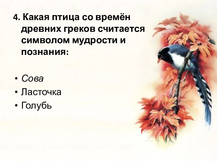 4. Какая птица со времён древних греков считается символом мудрости и познания: Сова Ласточка Голубь