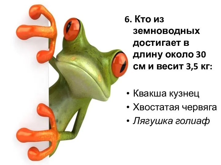 6. Кто из земноводных достигает в длину около 30 см и