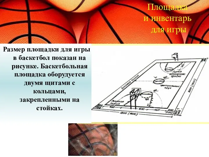 Площадка и инвентарь для игры Размер площадки для игры в баскетбол