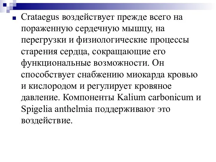 Crataegus воздействует прежде всего на пораженную сердечную мышцу, на перегрузки и