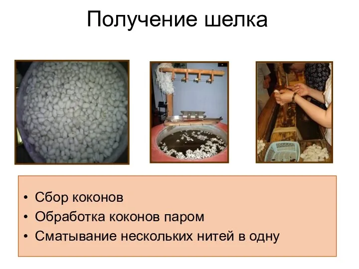 Получение шелка Сбор коконов Обработка коконов паром Сматывание нескольких нитей в одну