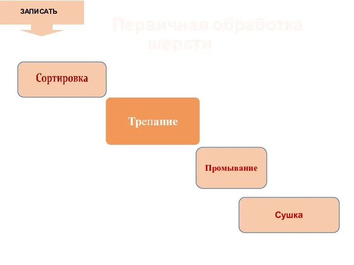 Первичная обработка шерсти Промывание Сушка