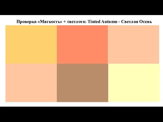 Проверка «Мягкость» + светлота: Tinted Autumn - Светлая Осень