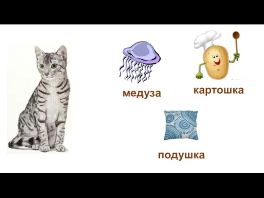 медуза картошка подушка