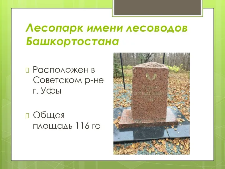 Лесопарк имени лесоводов Башкортостана Расположен в Советском р-не г. Уфы Общая площадь 116 га