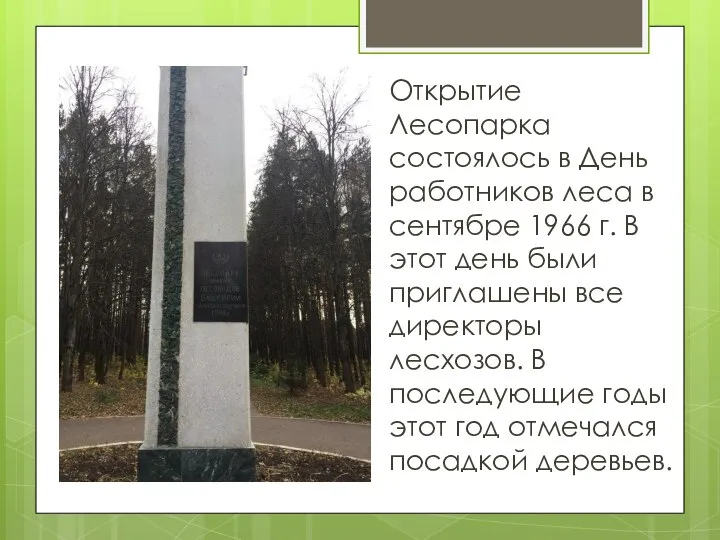 Открытие Лесопарка состоялось в День работников леса в сентябре 1966 г.