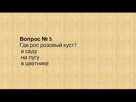 Вопрос № 5 Где рос розовый куст? в саду на лугу в цветнике