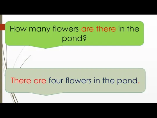 How many flowers are there in the pond? There are four flowers in the pond.