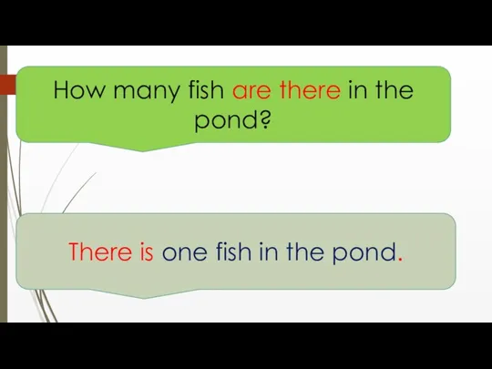 How many fish are there in the pond? There is one fish in the pond.