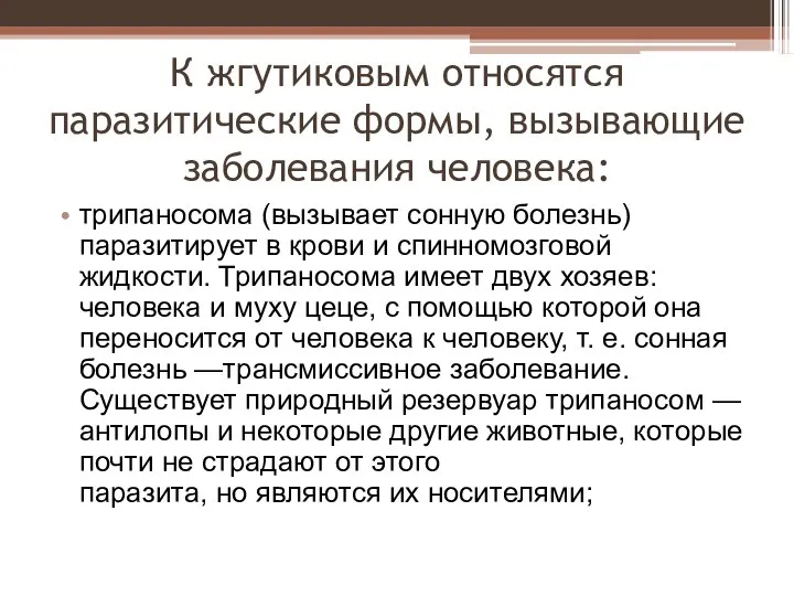 К жгутиковым относятся паразитические формы, вызывающие заболевания человека: трипаносома (вызывает сонную