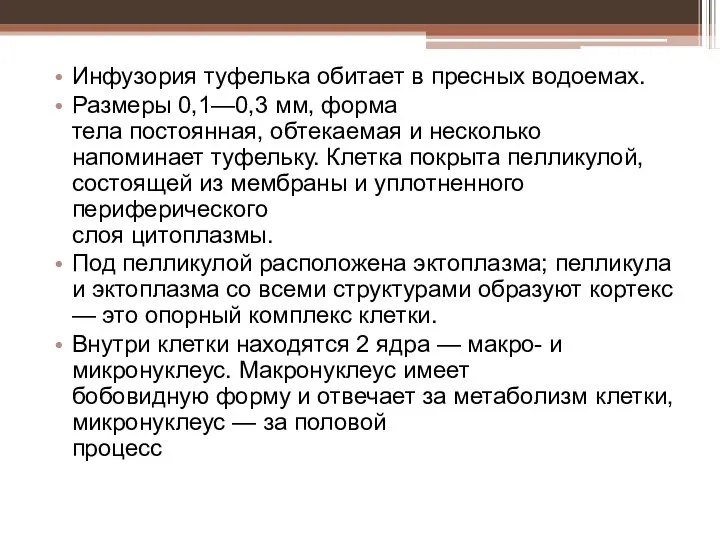 Инфузория туфелька обитает в пресных водоемах. Размеры 0,1—0,3 мм, форма тела