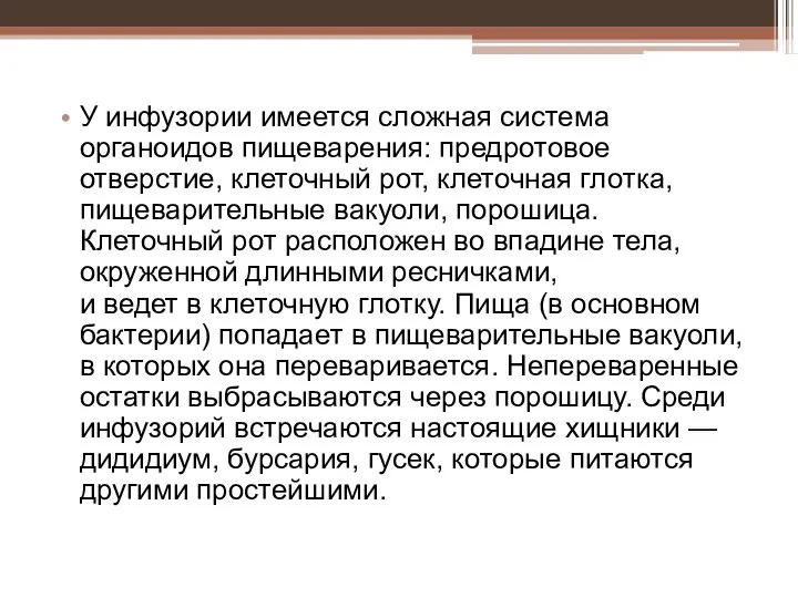 У инфузории имеется сложная система органоидов пищеварения: предротовое отверстие, клеточный рот,