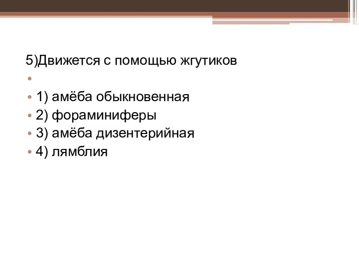 5)Движется с помощью жгутиков 1) амёба обыкновенная 2) фораминиферы 3) амёба дизентерийная 4) лямблия