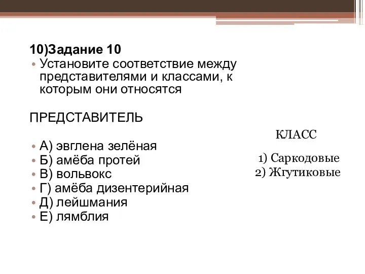 10)Задание 10 Установите соответствие между представителями и классами, к которым они