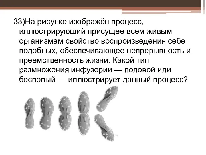 33)На рисунке изображён процесс, иллюстрирующий присущее всем живым организмам свойство воспроизведения