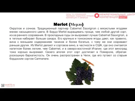 Merlot (Мерло) Округлое и сочное. Традиционный партнер Cabernet Sauvignon с мясистыми