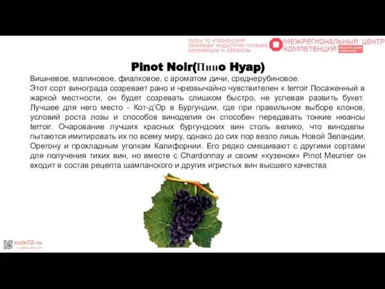 Pinot Noir(Пинo Hyap) Вишневое, малиновое, фиалковое, с ароматом дичи, среднерубиновое. Этот