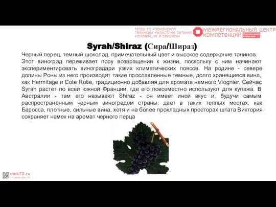 Syrah/Shiraz (Сира/Шираз) Черный перец, темный шоколад, примечательный цвет и высокое содержание